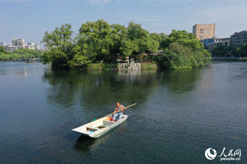 南昌市東湖區百花洲的東湖水面上，環衛工人駕船清理水面垃圾。 人民網記者 時雨攝