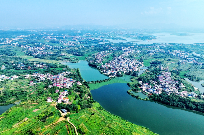 航拍鏡頭下的江西共青城市蘇家垱鄉，美景如畫。潘成攝