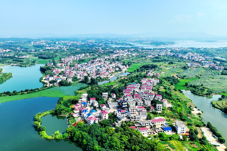 航拍鏡頭下的江西共青城市蘇家垱鄉，美景如畫。潘成攝