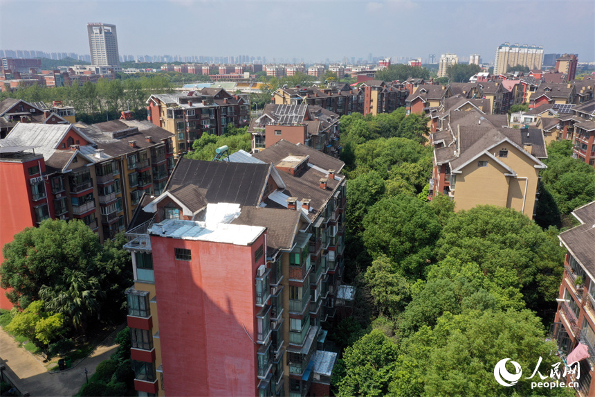 南昌紅谷灘區一小區內綠意盎然。 人民網記者 時雨攝