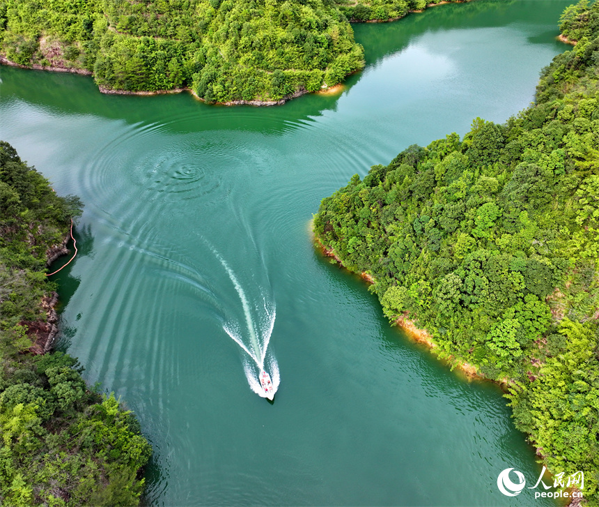 近日，江西省贛州市安遠縣三百山東風湖，生態保潔員駕駛保潔船在清理水面漂浮物。人民網 朱海鵬攝