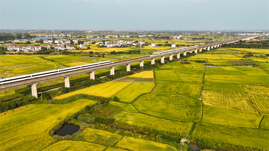 穿梭在田野上的高鐵猶如鋼鐵巨龍，在橋上迎面交匯。車馳攝