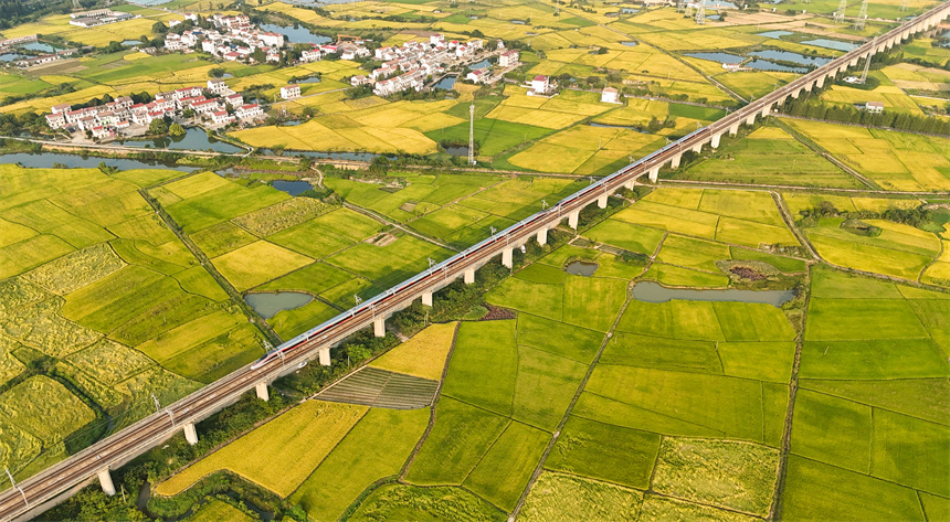 穿梭在田野上的高鐵猶如鋼鐵巨龍，在橋上迎面交匯。車馳攝