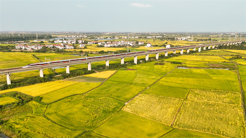 穿梭在田野上的高鐵猶如鋼鐵巨龍，在橋上迎面交匯。車馳攝