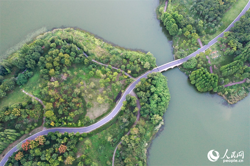 南昌市象湖城市濕地公園發揮了城市“綠肺、綠腎”功能，讓人們享受城市里的親水空間。 人民網記者 時雨攝