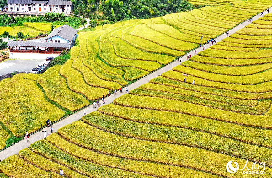 航拍江西省贛州市崇義縣上堡鄉上堡梯田。人民網 朱海鵬攝