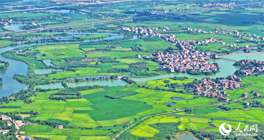 航拍江西省南昌市南昌縣富山鄉灘上村，鱗次櫛比的農房與濕地、田園相映成趣。人民網 朱海鵬攝