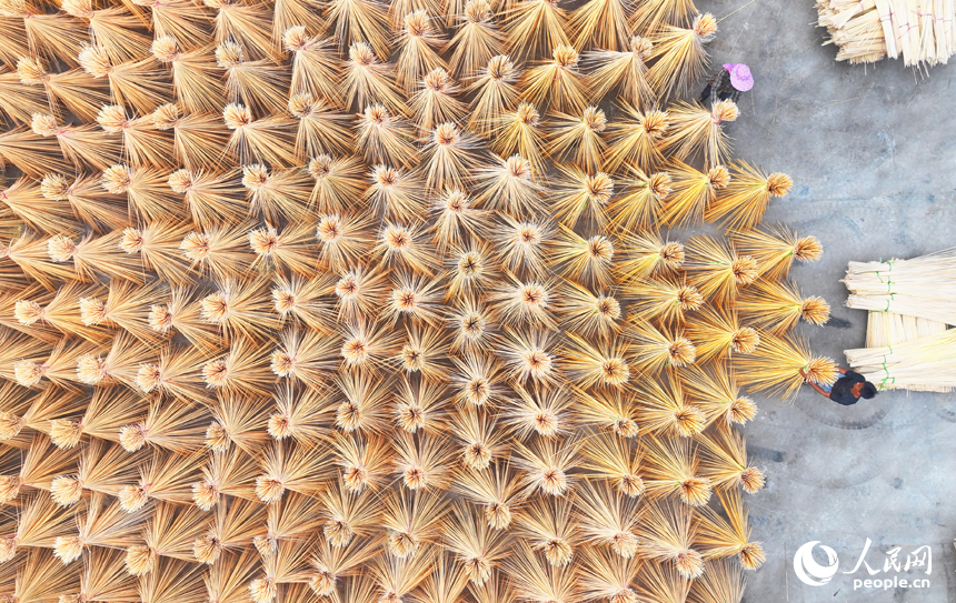 近日，江西省撫州市廣昌縣旴江鎮清水村的一家毛竹加工基地，村民在晾曬竹絲。人民網 朱海鵬攝