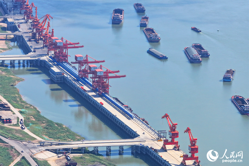 集裝箱裝卸作業有序進行，碼頭一片繁忙景象。人民網 朱海鵬攝