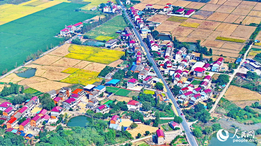 航拍鏡頭下一幅多彩斑斕的秋日畫卷。人民網 朱海鵬攝