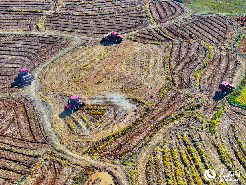 村民駕駛油菜翻耕施肥播種一體機進行犁地、耕整、播種作業。人民網 朱海鵬攝