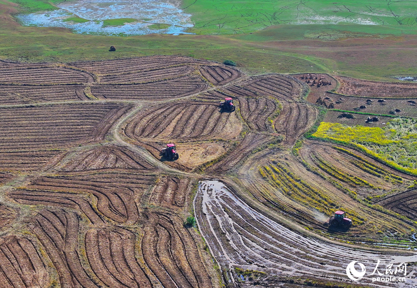 村民駕駛油菜翻耕施肥播種一體機進行犁地、耕整、播種作業。人民網 朱海鵬攝