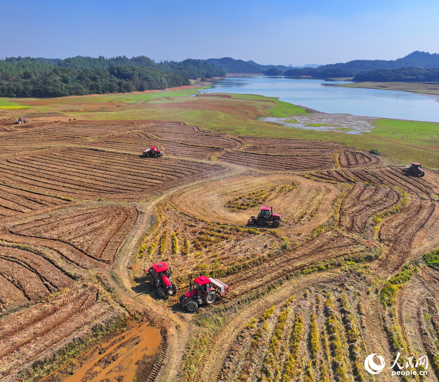 村民駕駛油菜翻耕施肥播種一體機進行犁地、耕整、播種作業。人民網 朱海鵬攝