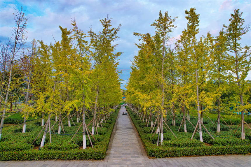 廣昌縣一處城市公園。危仁鵬攝