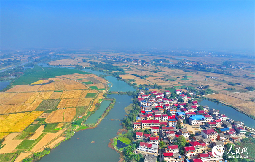 近日，江西省南昌市南昌縣岡上鎮安仁村，滬昆高速公路穿境而過，沿線鱗次櫛比的農房與稻田、水系、綠樹相映襯，構成一幅深秋時節和美鄉村畫卷。人民網 朱海鵬攝