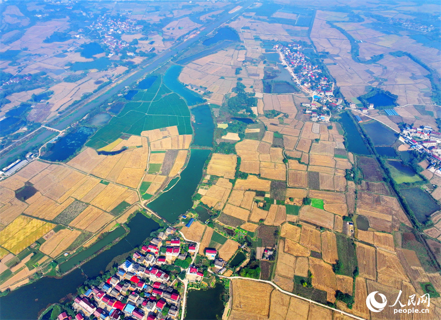 近日，江西省南昌市南昌縣岡上鎮安仁村，滬昆高速公路穿境而過，沿線鱗次櫛比的農房與稻田、水系、綠樹相映襯，構成一幅深秋時節和美鄉村畫卷。人民網 朱海鵬攝