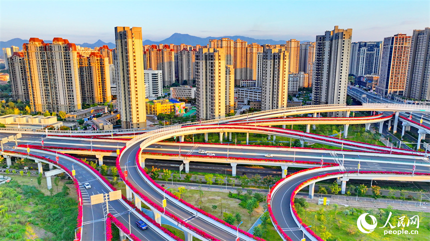 贛州市城區多條高架路上的三角梅競相綻放。人民網 朱海鵬攝