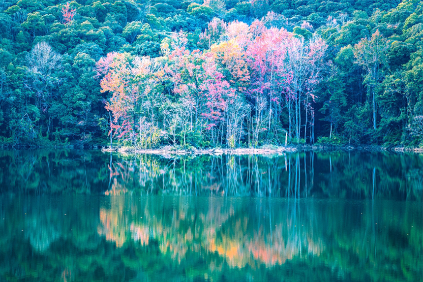 冬日時節，江西省贛州市信豐縣金盆山國家森林公園的龍井湖區色彩斑斕，美如畫卷。邱國偉攝