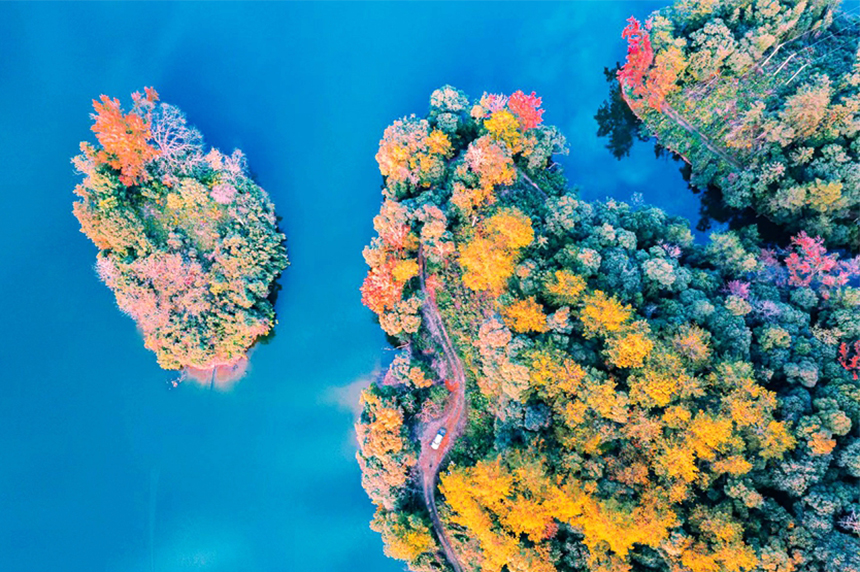 冬日時節，江西省贛州市信豐縣金盆山國家森林公園的龍井湖區色彩斑斕，美如畫卷。邱國偉攝
