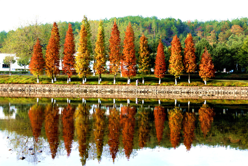 航拍鏡頭下的全南縣市民公園色彩斑斕，美不勝收。尹其奇攝 