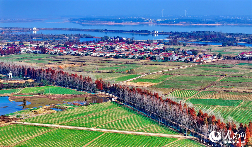 南昌縣塔城鄉，寬敞整潔的鄉村公路，與農房、田園相映襯，構成一幅美麗的新農村畫卷。人民網 朱海鵬攝