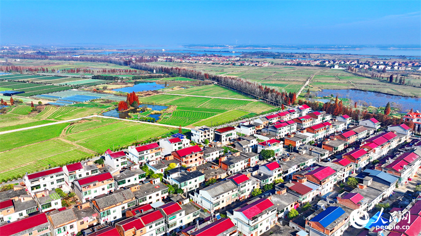 南昌縣塔城鄉，寬敞整潔的鄉村公路，與農房、田園相映襯，構成一幅美麗的新農村畫卷。人民網 朱海鵬攝