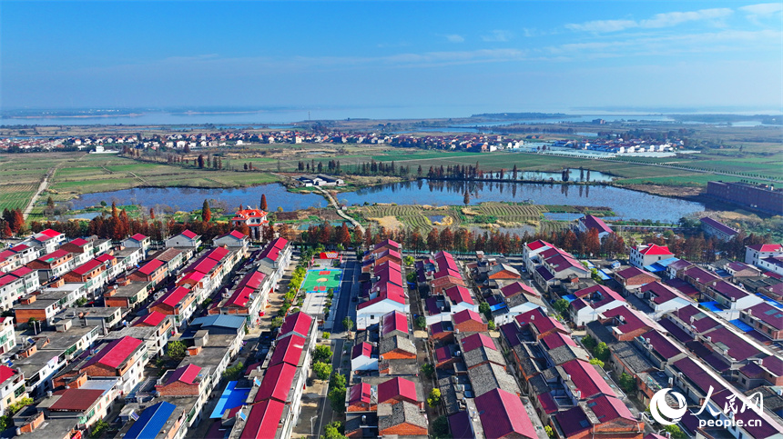 南昌縣塔城鄉，寬敞整潔的鄉村公路，與農房、田園相映襯，構成一幅美麗的新農村畫卷。人民網 朱海鵬攝