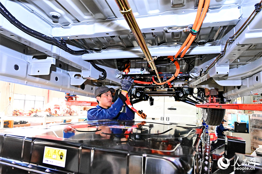 員工在安裝出口南美國家的新能源電動汽車鋰電池包。人民網 朱海鵬攝