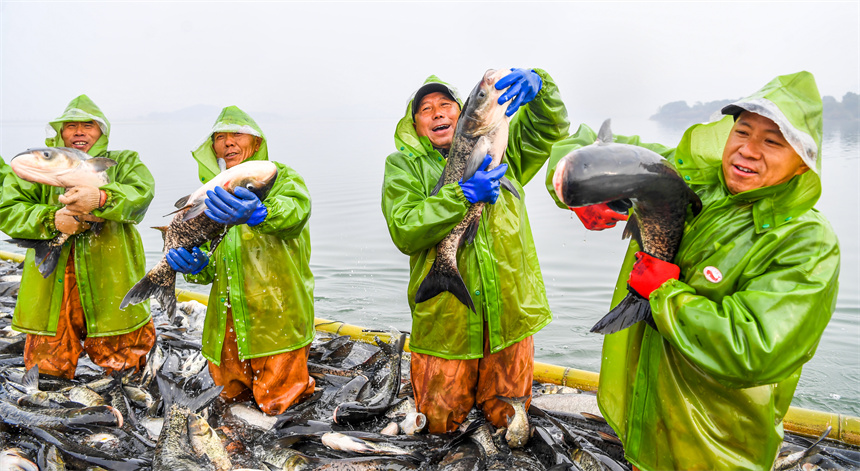 漁民們展示剛捕撈到的鮮魚。周亮攝