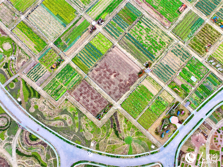 贛州蓉江新區潭東鎮逕背村的一處田園綜合體，綠意盎然的蔬菜園與公路農房、綠樹青山相映成景。人民網 朱海鵬攝