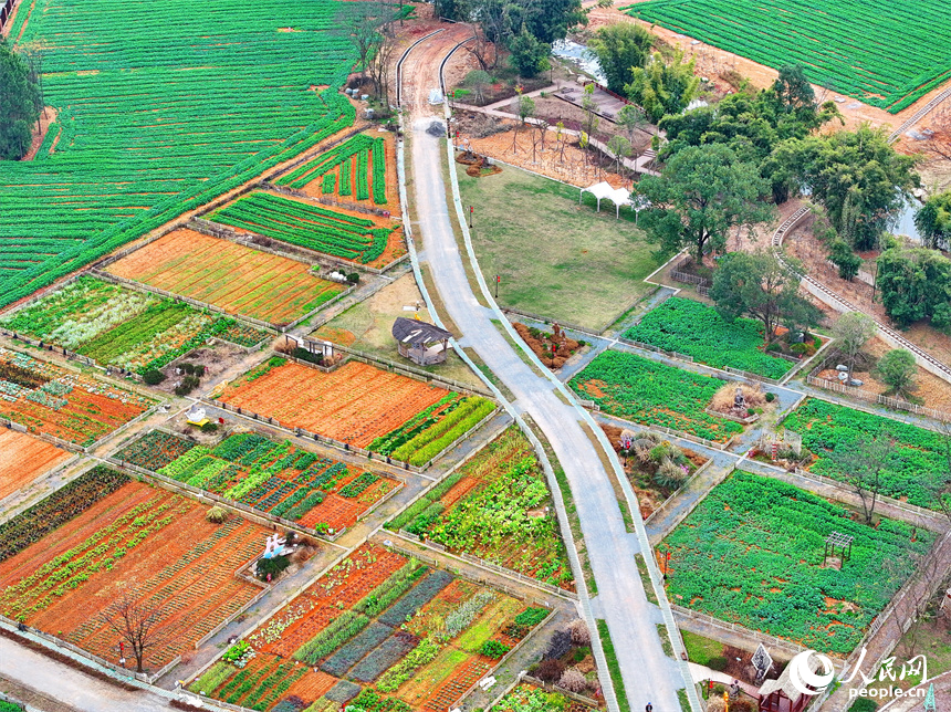 贛州蓉江新區潭東鎮逕背村的一處田園綜合體，綠意盎然的蔬菜園與公路農房、綠樹青山相映成景。人民網 朱海鵬攝
