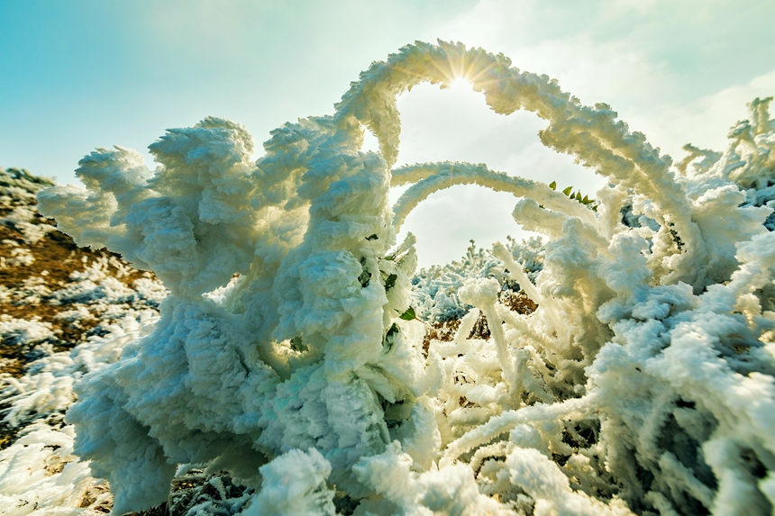 秋山霧凇景觀美如畫。周亞茂攝