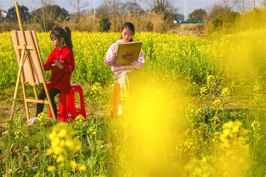 孩子們在油菜花地里作畫。李煜祖攝
