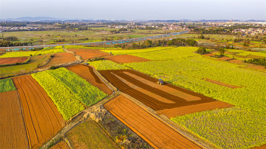 村民駕駛著農機在翻耕田地。周亮攝