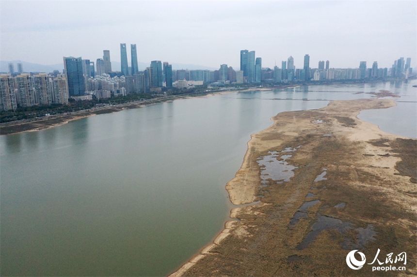 3月3日贛江南昌段水位實況。受持續降雨影響，水位上漲。 人民網記者 時雨攝