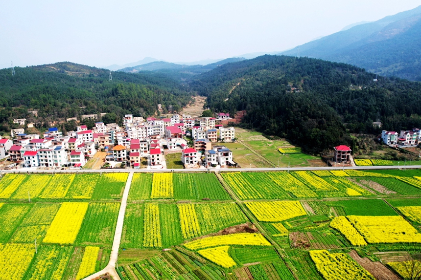 縱橫交錯的田園、河流、群山與民居相映成景。賀治斌攝