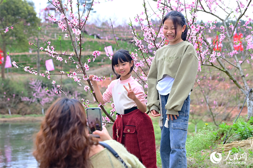 撫州市崇仁縣許坊鄉許坊村連片桃花盛開，前來賞花“打卡”的游客絡繹不絕。人民網 朱海鵬攝