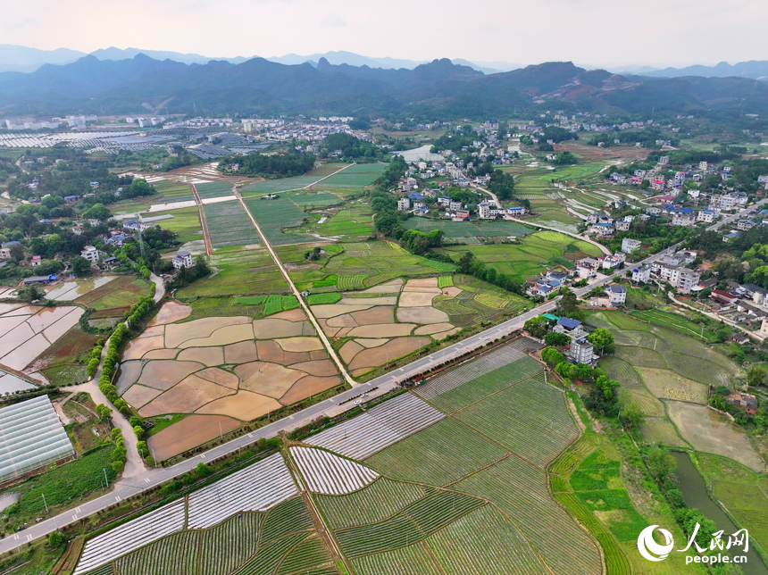 贛州市會昌縣周田鎮一帶，翻耕蓄水后的田塊阡陌縱橫、線條分明、平整如鏡。人民網 朱海鵬攝