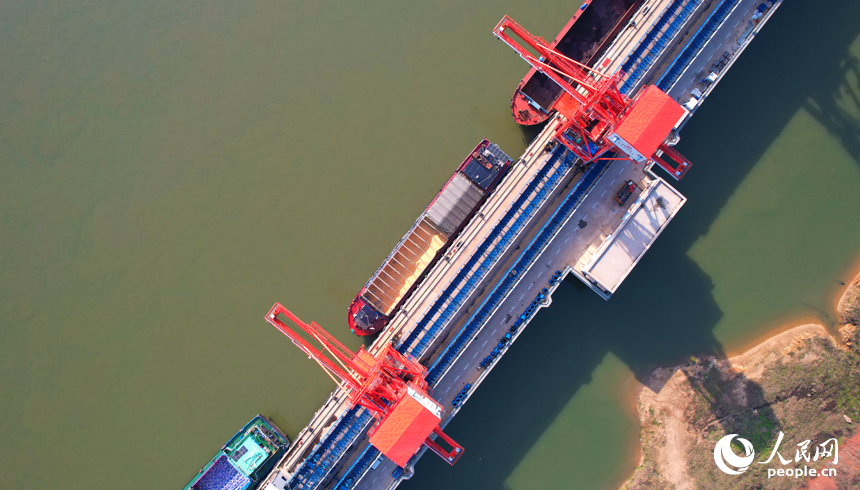 貨船?？看a頭正在等待裝卸作業。人民網記者 毛思遠攝