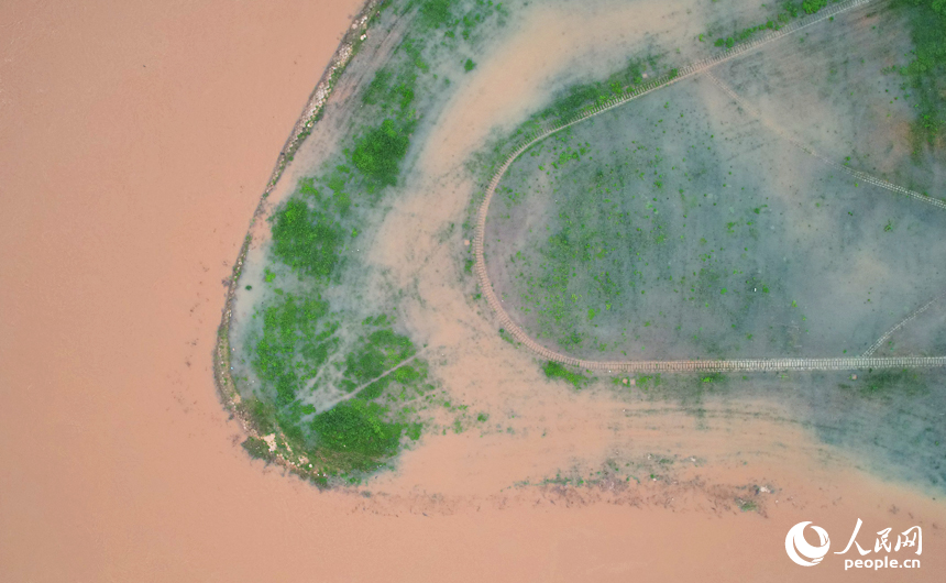 江心洲步道被水淹沒。人民網記者 毛思遠攝