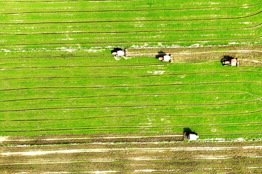 農機手正駕駛著翻耕機在田間來回穿梭。潘成攝