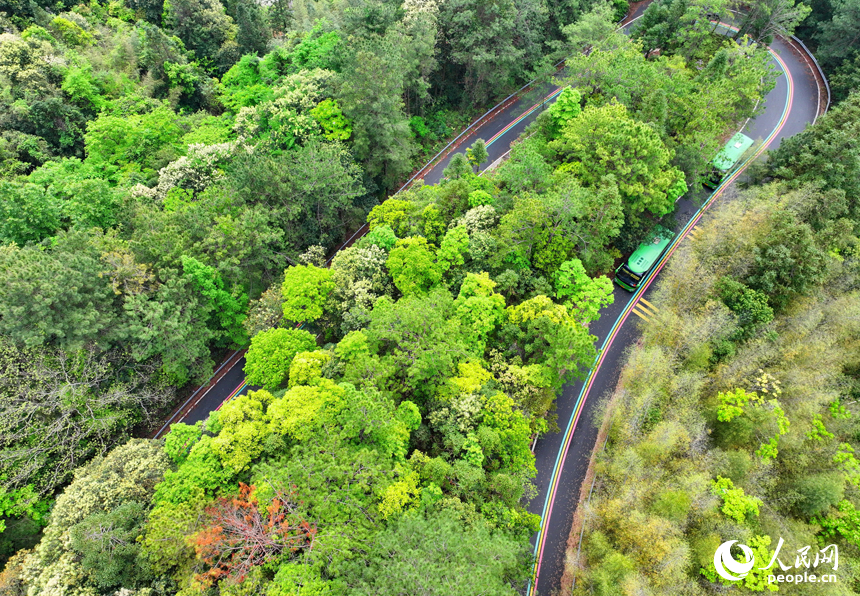 贛州市安遠縣三百山鎮，觀光大巴車行駛在旅游公路上，公路沿線綠色生態風光怡人。人民網 朱海鵬攝