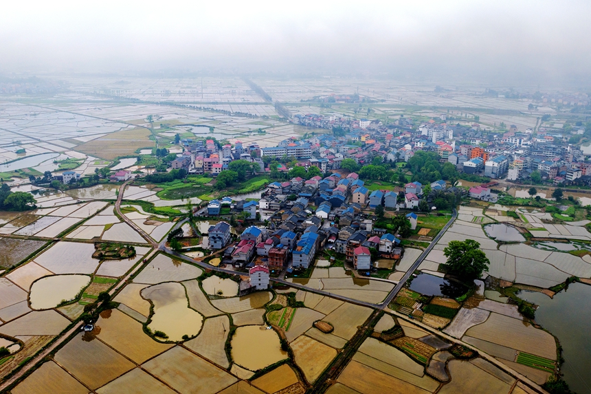 航拍鏡頭下的江西省吉安市吉水縣水南鎮春耕圖景。廖敏攝