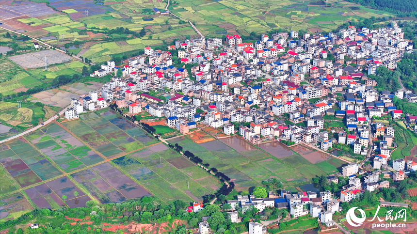 吉安市永新縣蓮洲鄉，阡陌縱橫，房屋林立，鄉村美景怡人。人民網 朱海鵬攝