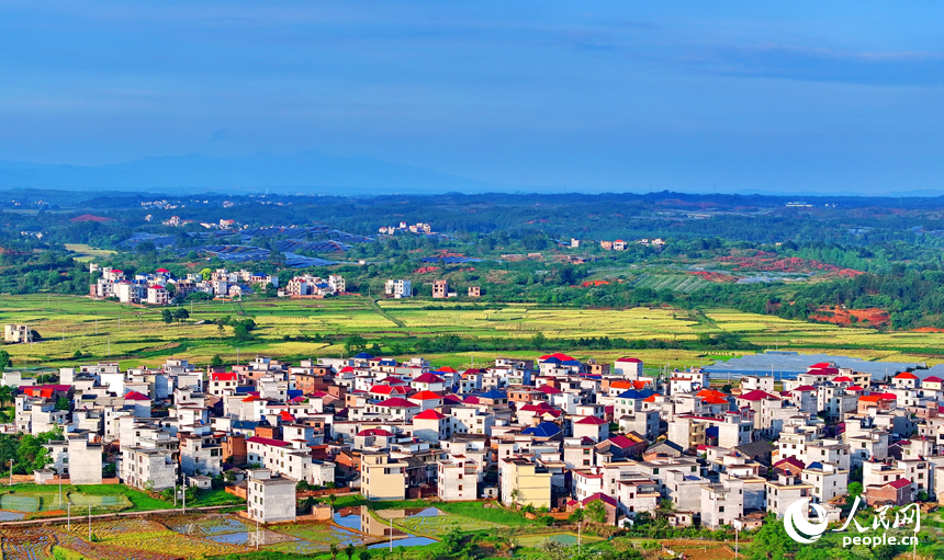 吉安市永新縣蓮洲鄉，阡陌縱橫，房屋林立，鄉村美景怡人。人民網 朱海鵬攝
