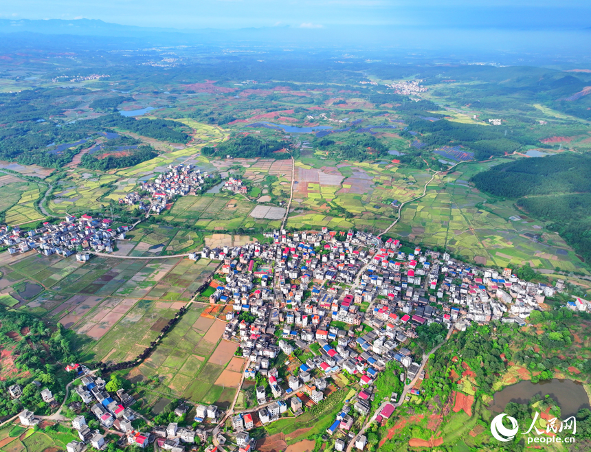 吉安市永新縣蓮洲鄉，阡陌縱橫，房屋林立，鄉村美景怡人。人民網 朱海鵬攝