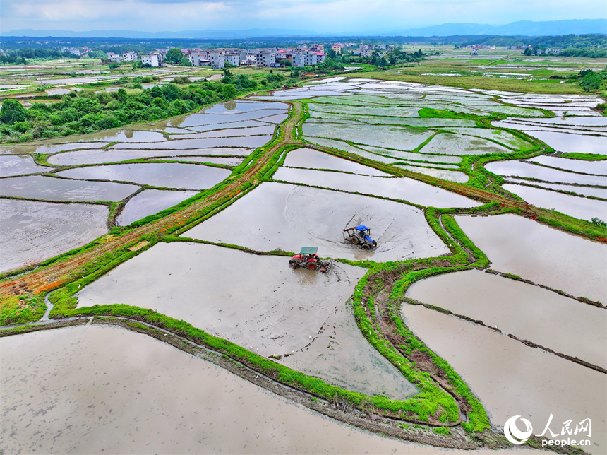 吉安市永新縣臺嶺鄉布淌村，青年農技員駕駛旋耕機在田間翻耕托管的農田。人民網 朱海鵬攝