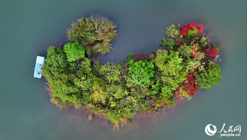 環保志愿者在贛州市安遠縣三百山鎮河道內巡河。人民網 朱海鵬攝