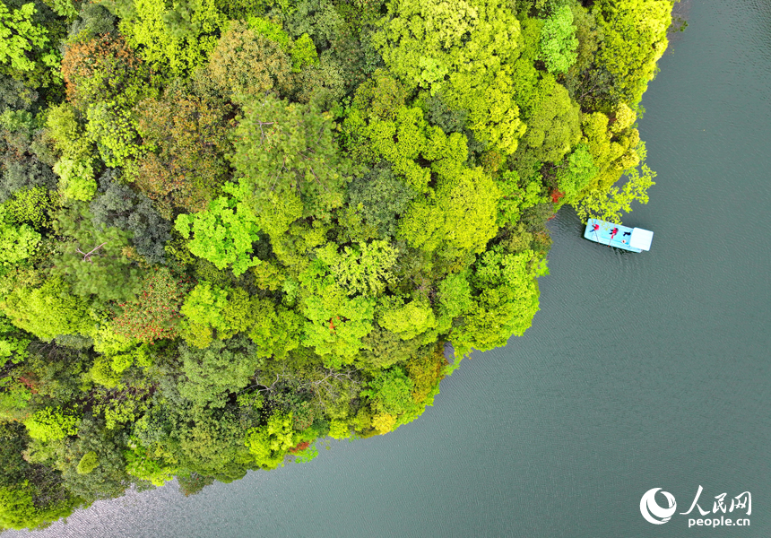 環保志愿者在贛州市安遠縣三百山鎮河道內巡河。人民網 朱海鵬攝