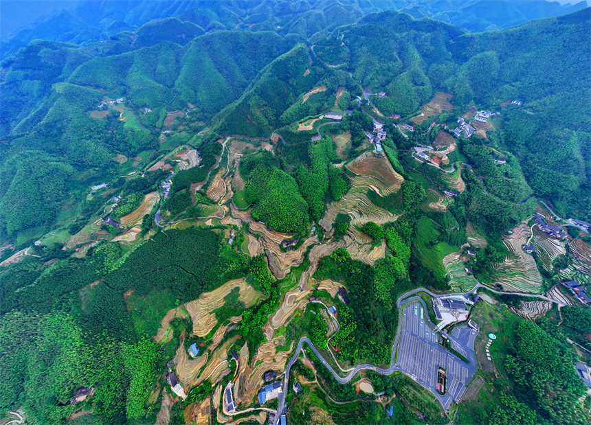 贛州市崇義縣上堡鄉，層層疊疊的梯田與森林、民宿、公路相互映襯，夏日綠色生態美景怡人。人民網 朱海鵬攝